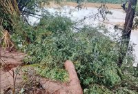 Ikamyo n'umushoferi wari uyitwaye baguye muri Nyabarongo